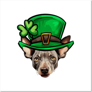 Funny St Patricks Day Hairless Terrier Posters and Art